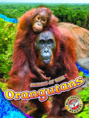 cover image of Orangutans